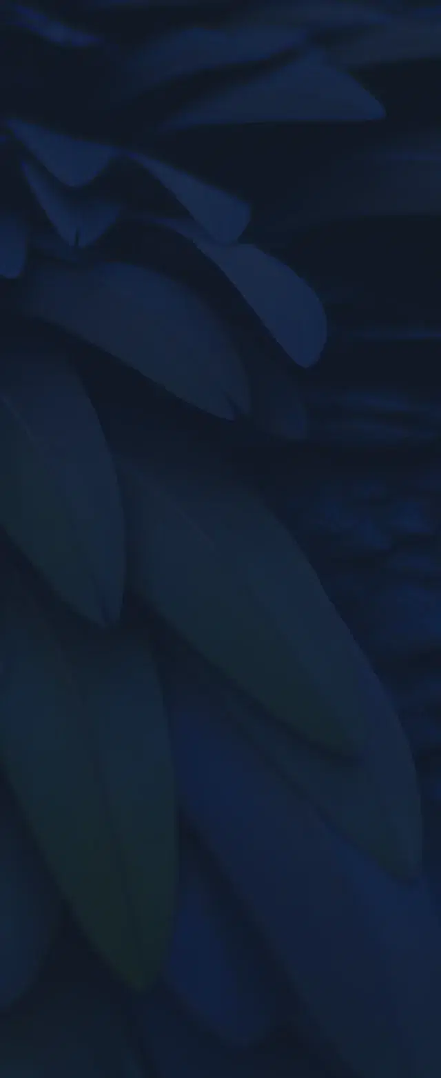 Arini About page hero section background 