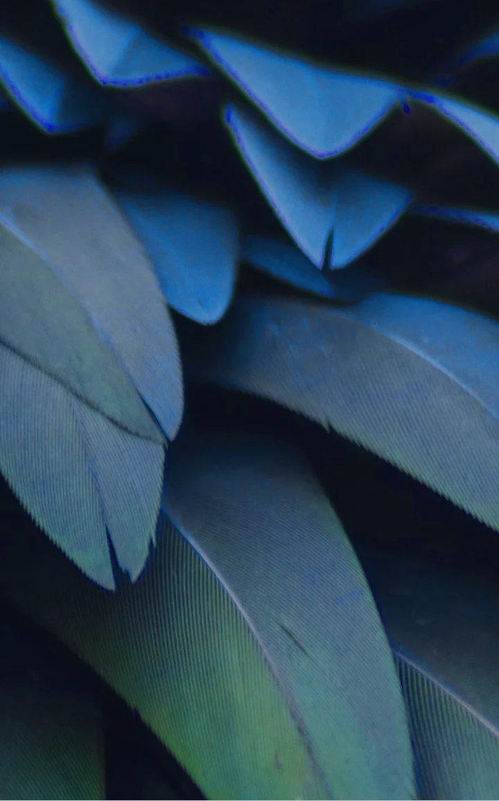 Stats section background image