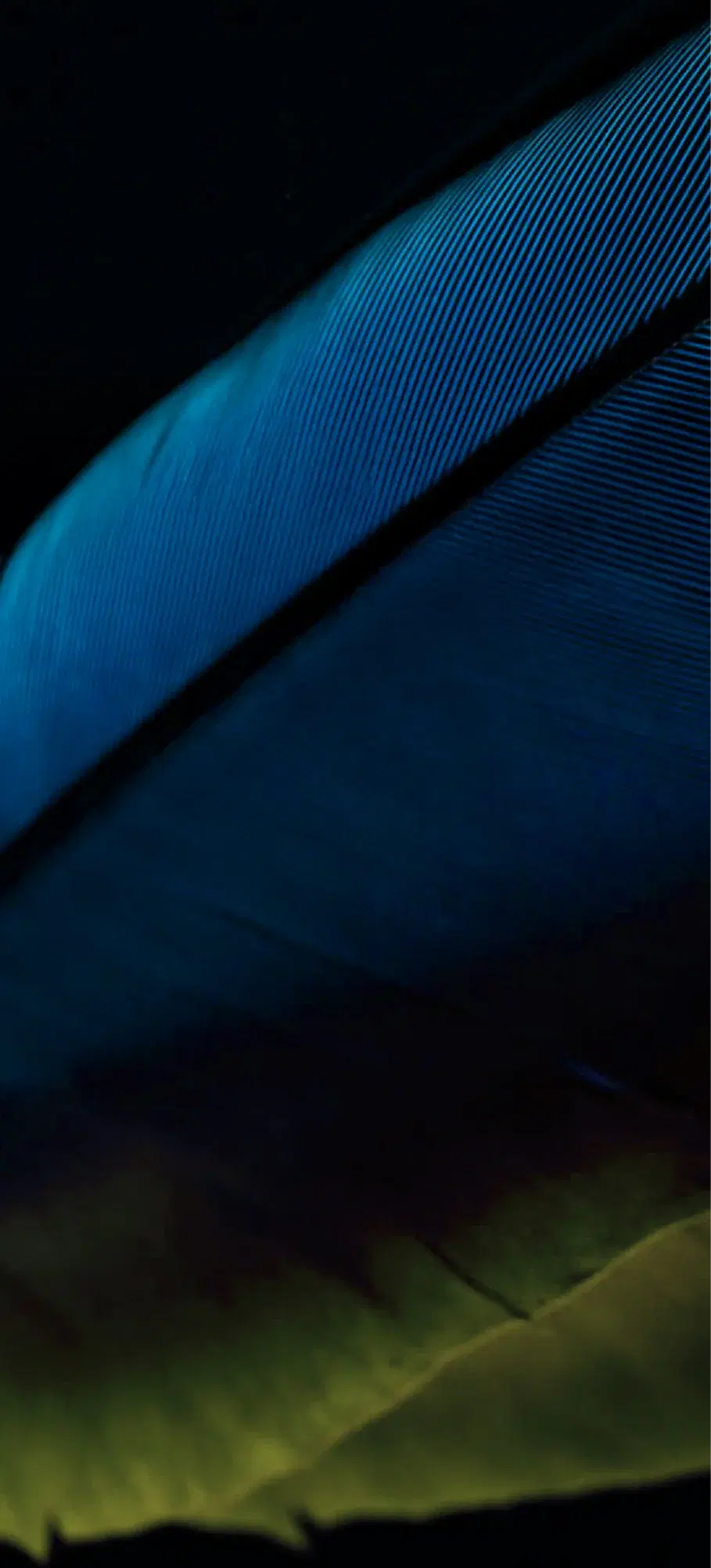 About page edge section image desktop